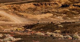 林泓育捕手经验稳定军心